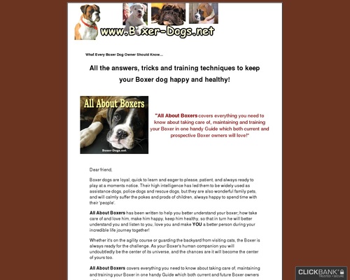 Boxer Canines – A Information To Boxer Canines