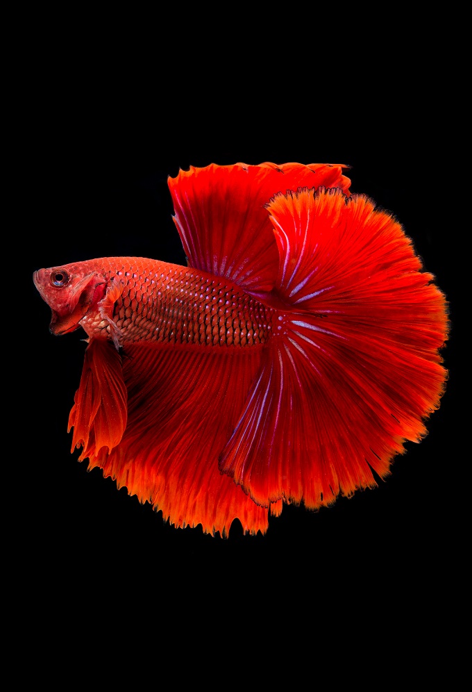 Best together <i class="rhicon rhi-arrow-circle-right floatright"></i>