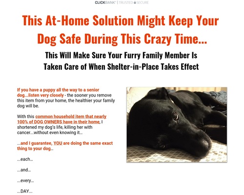 High Canine Meals Product! Now with increased conversions!