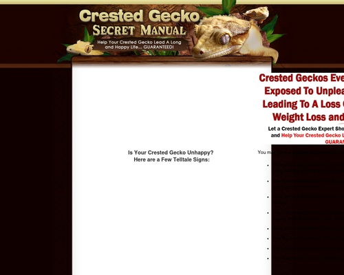 Crested Gecko Secret Handbook
