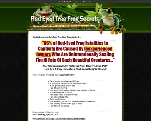 Purple Eyed Tree Frog Secrets and techniques