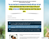 Model New! Cat Language Bible (TM)  Lastly Converse Cat!