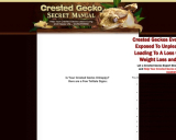 Crested Gecko Secret Handbook