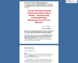 Pet Rats – Information to Simple Pet Rat Care and Coaching