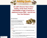 Elevating Quails Made Straightforward – How To Increase Quails the Straightforward Approach