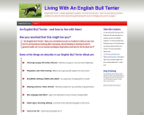 English Bull Terrier | Easy methods to stay with and with out them