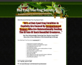 Purple Eyed Tree Frog Secrets and techniques